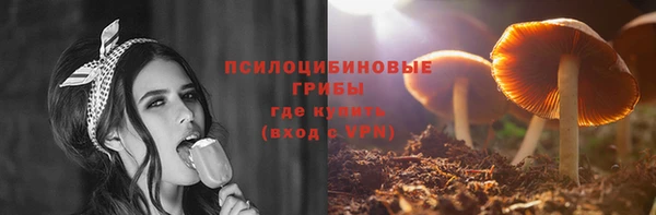 2c-b Горнозаводск