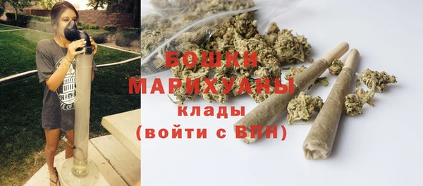 2c-b Горнозаводск