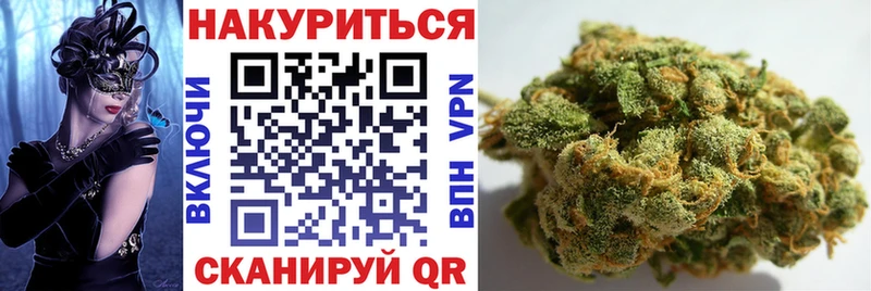 Каннабис OG Kush  Иваново 